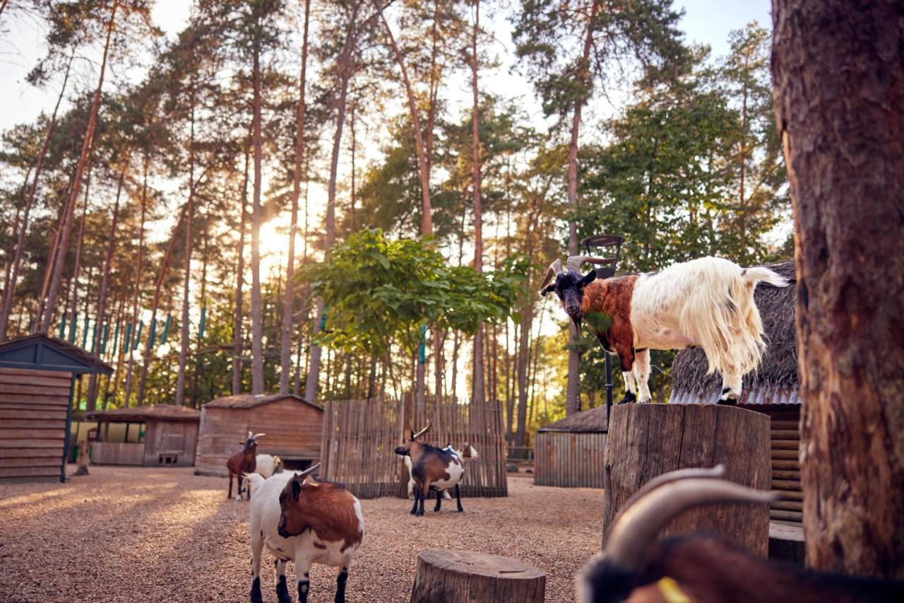 Center Parcs Les Hauts De Bruyeres Chaumont-sur-Tharonne Ngoại thất bức ảnh